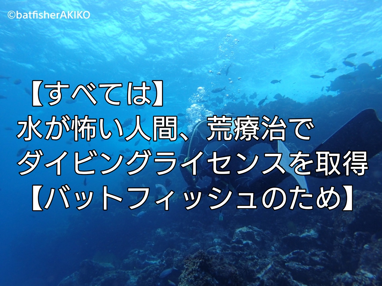 すべては 水が怖い人間 荒療治でダイビングライセンスを取得 バットフィッシュのため ガラパゴスバットフィッシュ狂